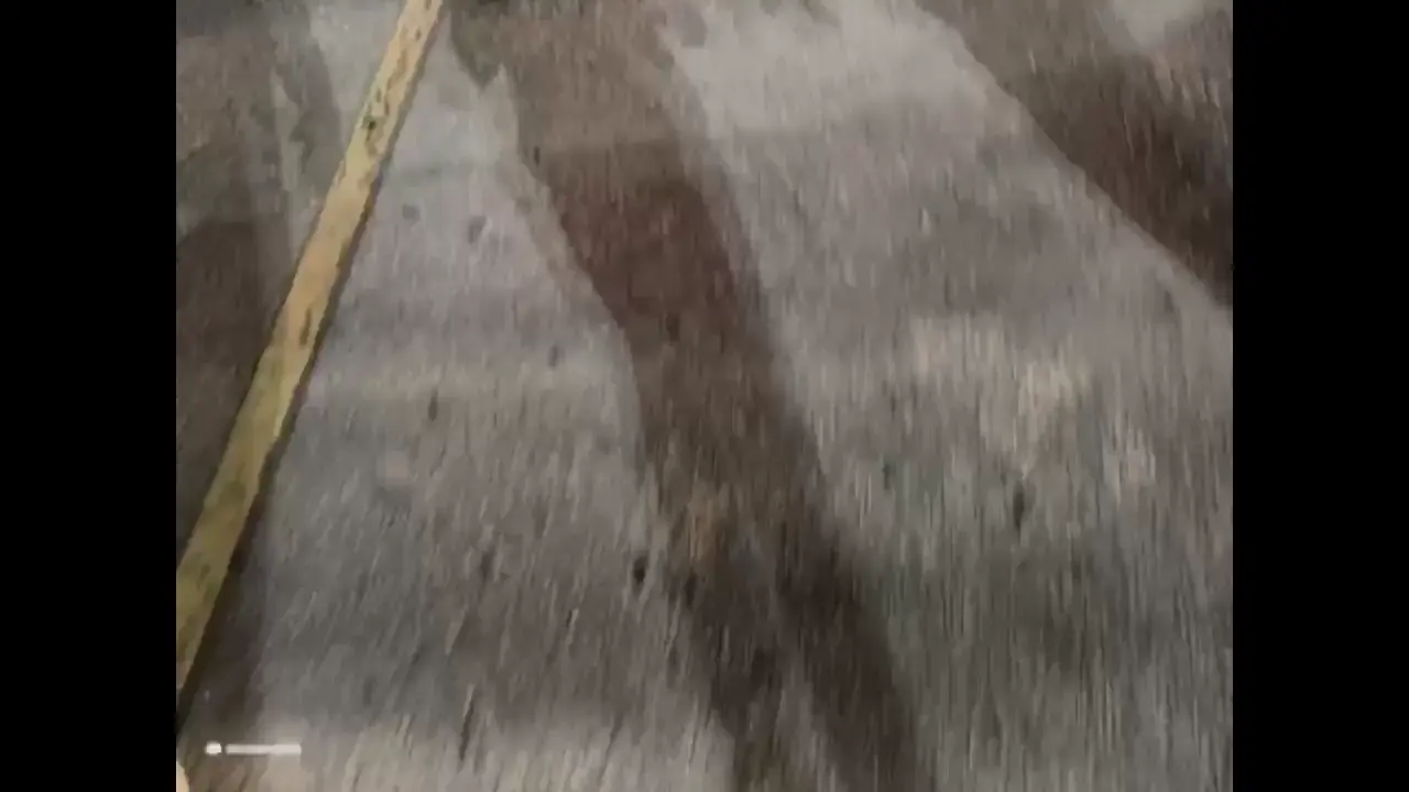 LIVE - Florida Riots Part 2