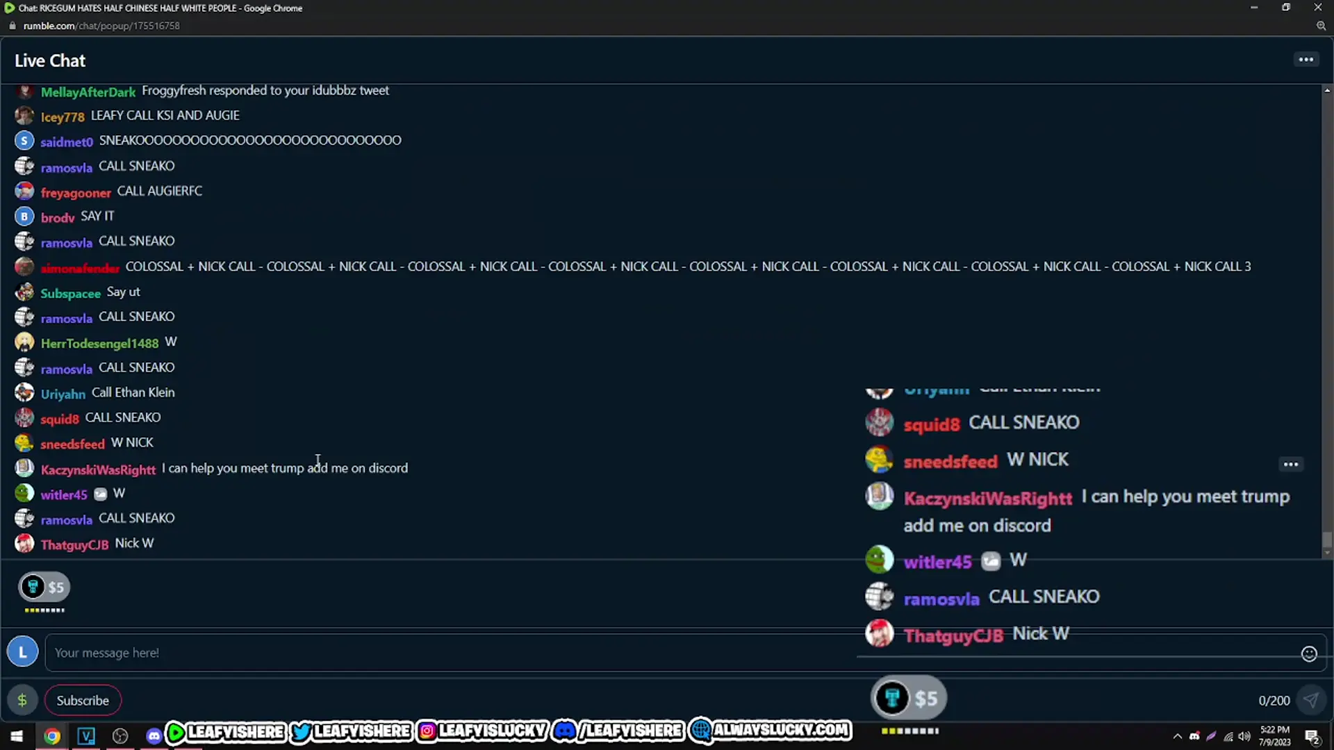 Nick and Leafy Talk About Ricegum